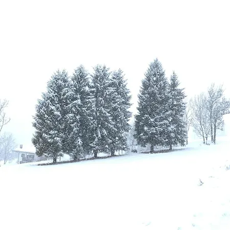 Holiday home Casa Le Triestine