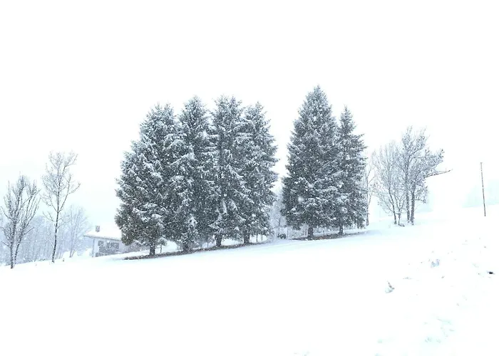 Nyaraló Casa Le Triestine
